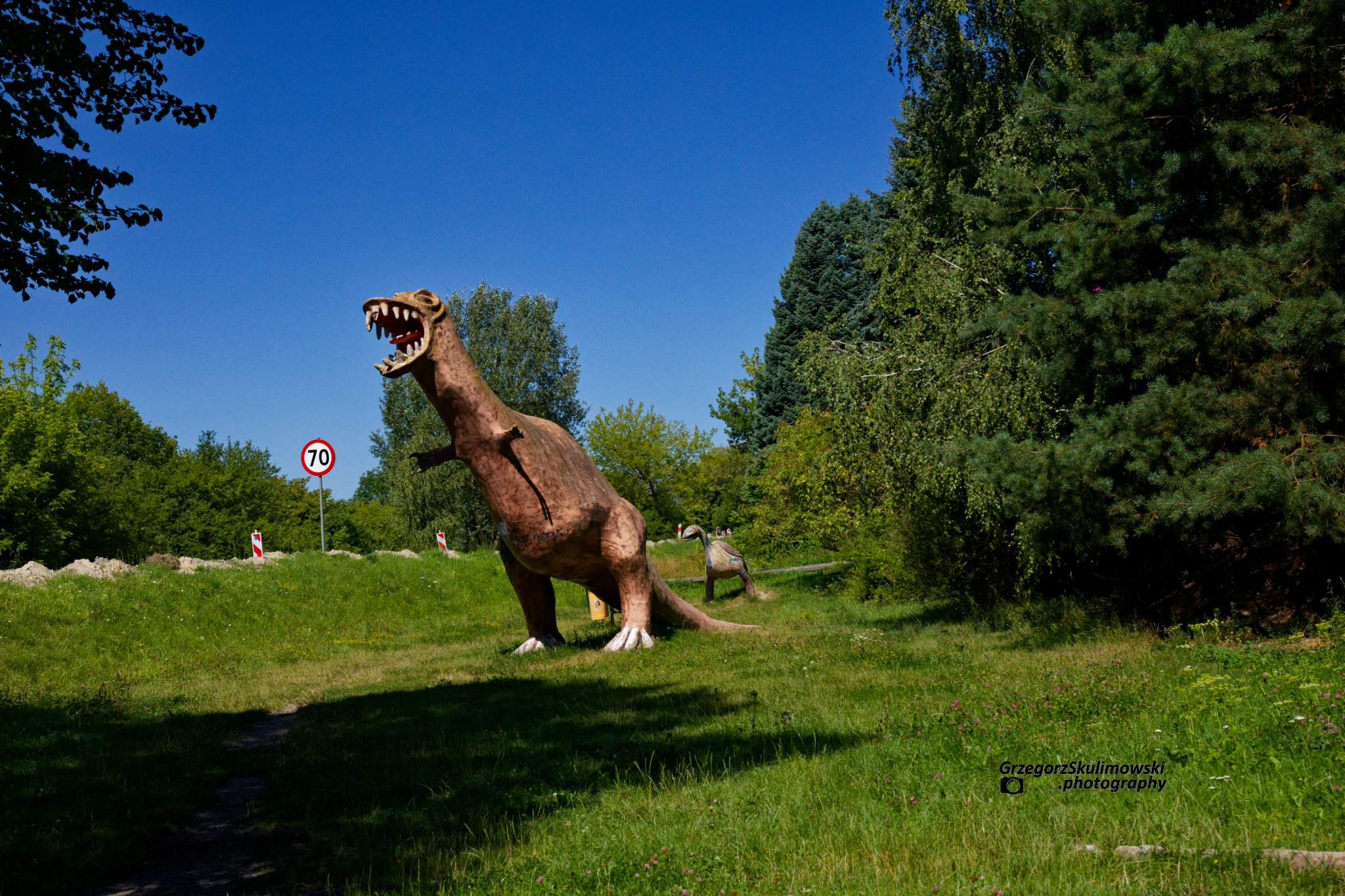 Podróże duże i małe – Dolina dinozaurów